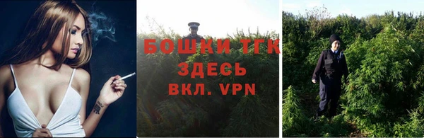 дмт Козельск