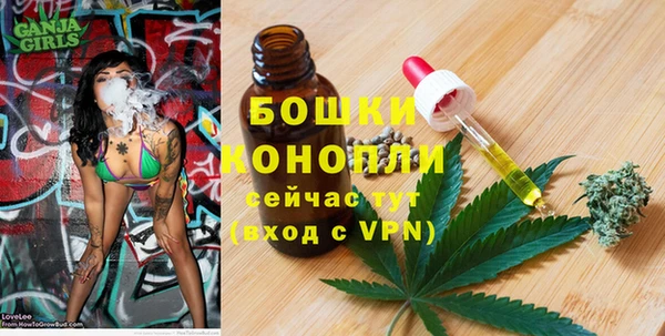 дмт Козельск
