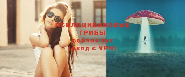 дмт Козельск