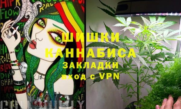 гашик Кодинск