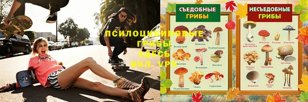 дмт Козельск