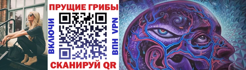 Псилоцибиновые грибы GOLDEN TEACHER  Купить где  Нерюнгри 